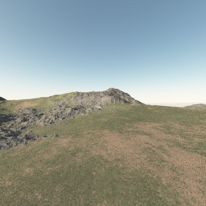 Grassy Sky