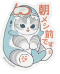 •*ocean meow*•