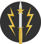 Special Service Group •