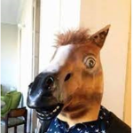 Los ponys
