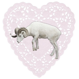 ♡