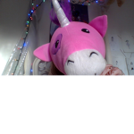 Unicorn Fan Groupie
