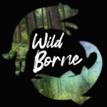 Wildborne Survival