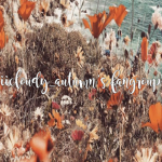 •autumn's leaves•