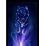|Wolfe Pack Night Shade|