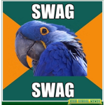 Parrot Swag