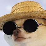 Bork Committee
