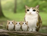 Nbmn