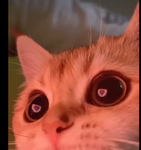 simplyroar?