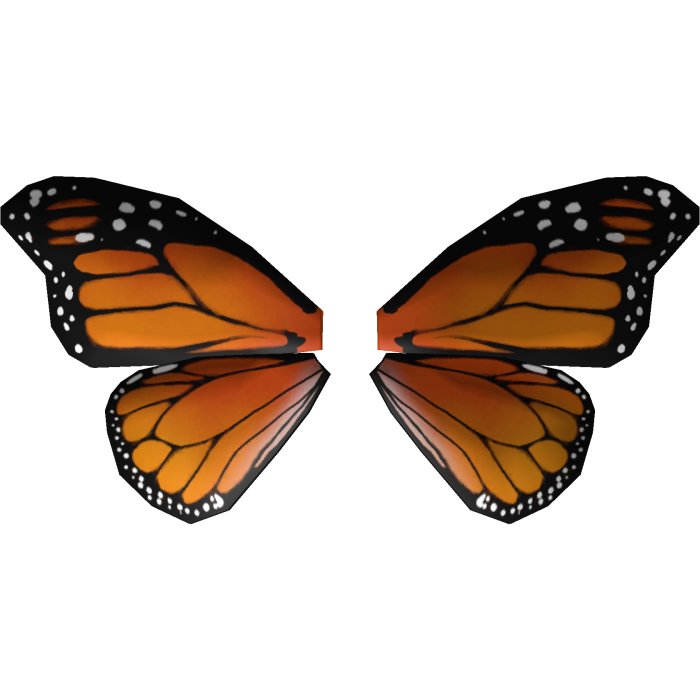 Butterfly Wings