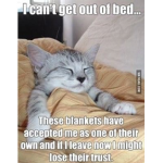 hibernaters