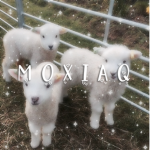 Moxiaq