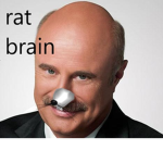 Service for rats with BIG BRAINS