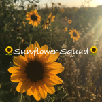 xSunflower_Squadxx