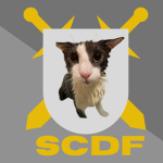 Soggy cat Defense Force
