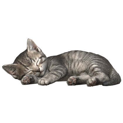 Cute Sleeping Tabby Cat Kitten Roblox item