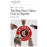 Chipotle Ratz