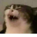 [ Content Deleted 5782135 ]