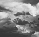 /coId