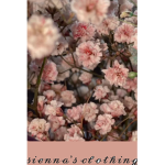 sienna's clothing :)