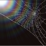 The spiders web and it’s family