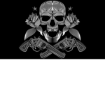 The Silver Storm Pirates
