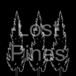 Lost Pines Community
