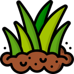 GRASS TECH