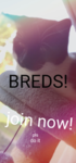 breds!