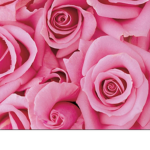Emma_Everything Fan group