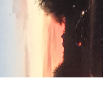 Horse country 86