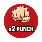 x2 Punch