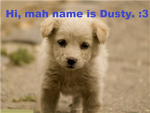 *The Ultamite Puppy Club*
