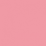 シ Lavender シ
