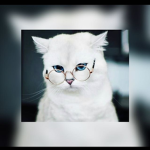 xXA_z12Xx