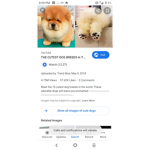 The pupies