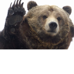 GamingBears