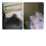 Roblox dest friend goup