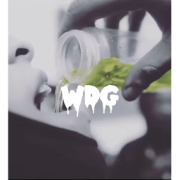 WDG hangout