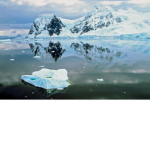 Protecting the earth and its animals