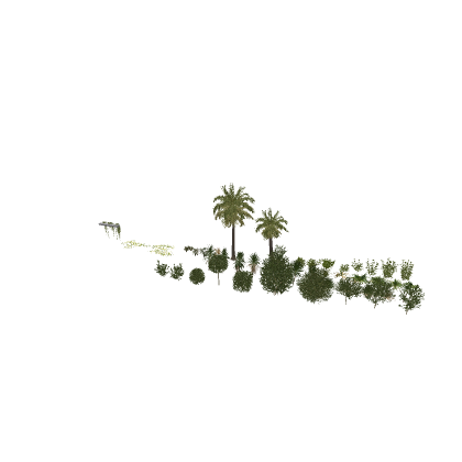 Realistic Jungle Foliage