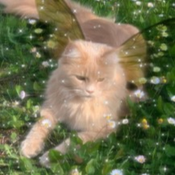 ꒰𐔌 ◟ ⏝ ◞ 🍃 ٭ ˚ •  ⦂  ◌꙳ .ᐟ. ꒷ ⏔  ｡ﾟ•  ｡ﾟ•∘˚🐈