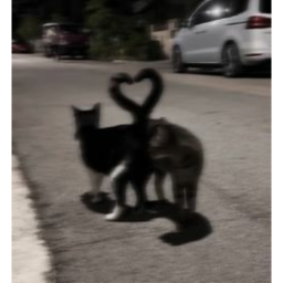 ༺♡༻