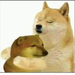 WHY’SS