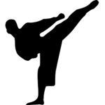 Roblox Karate Classes