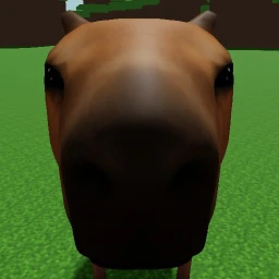 Survive The Capybara! icon