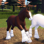 Horse World