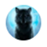 Wolf_Team!!!!