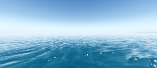 The Ocean