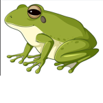 Froggy-o